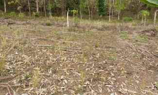 Tanah di Kemiling Luas 1500m Surat SHM