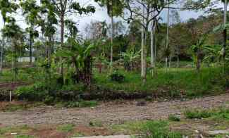 Tanah di Kemiling Luas 440m SHM Siap Bangun