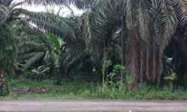 Tanah di Negeri Sakti, Pesawaran Luas 12.740m Surat SHM