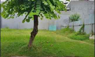 Tanah di Perumahan Pakuwon City Cluster San Antonio