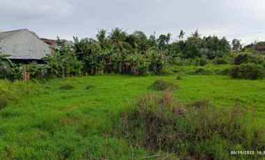 Tanah di Rajabasa Raya Luas 4700m SHM