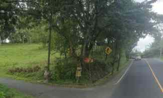 Tanah Dijual di Antap, Tabanan, Bali