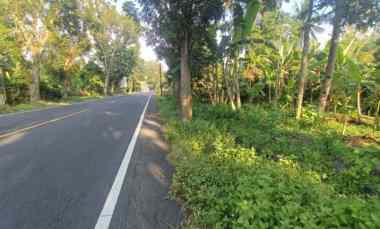 Tanah Dijual di Pekutatan, Jembrana, Bali