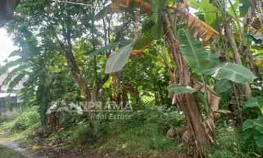 Tanah Dijual 341M2 Mampang Depok -kusmel