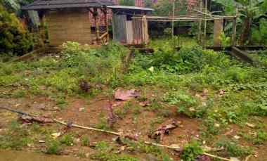 Tanah Dijual di,cijayanti Sentul Babakan Madang