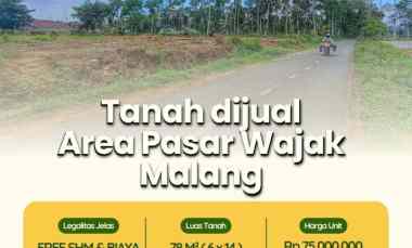 Tanah Dijual di Kidangbang wajak malang