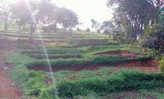 Tanah Dijual di Jl raya tajur halang Cijeruk bogor