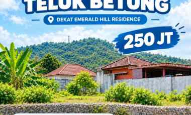 Tanah Dijual Teluk Betung B.lampung