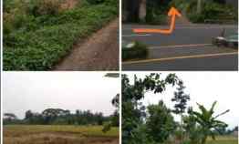 Sawah 2370m2 Lokasi Ceper Klaten 50 meter dari Jln Raya 550jt