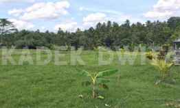 Tanah Dijual di gadungan