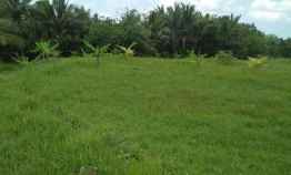 Tanah View Sawah Gunung di Gadungan Selemadeg Tabanan Bali