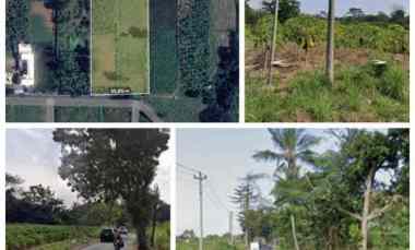 Tanah Gudang 1,3 Ha DiBoyolali Harga 1,2jt/m2