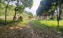 Tanah Pegunungan di Gunung Pancar Babakan Madang Bogor