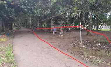 Tanah Dijual di Nyapah