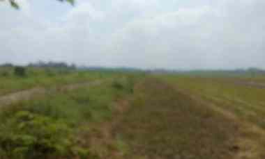 Tanah Industri Mojokerto Murah dekat Tol.Mlirip