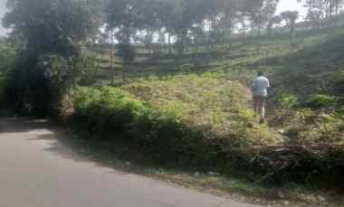 Tanah Invest, Cocok untuk Usaha