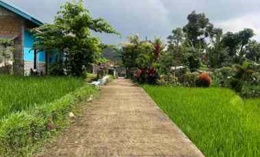 Tanah Istimewa dekat Sungai 750m Utara Candi Cetho