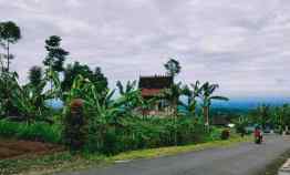Tanah Istimewa Kemuning Ngargoyoso Karanganyar