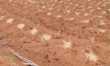 tanah istimewa pasir nanjung cimanggung kab sumedang