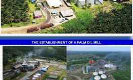 Dijual Perkebunan Sawit di Kalimantan Barat