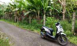 Tanah Kebun di Kemiling Luas1800m Surat SHM