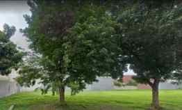 Tanah Kosong di Pakuwon City