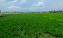 Tanah untuk Perumahan dekat Stasiun Kereta Cepat Tegalluar Bandung