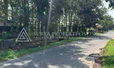 Tanah Jalan Stella Raya Medan Tuntungan