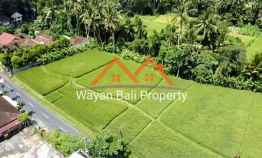 Tanah Pinggir Sungai di Junjungan Ubud Bali