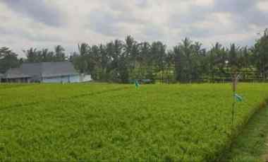 Tanah Jalan Utama Tirta Tawar Ubud Bali