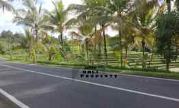 Tanah Sawah Pinggir Jalan Antosari dekat Exit Tol Pantai Suka