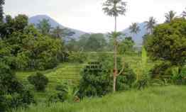 Tanah Aspek Perumahan 1.5 Hektar di Penebel