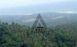 Tanah Ocean View Pinggir Sungai di Lalang Linggah Tabanan Bali