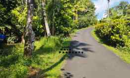 Tanah Kebun Luas 6 Hektar di Selemadeg Barat