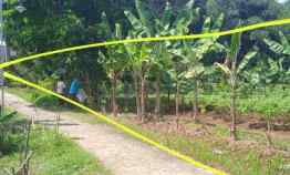 Tanah Murah Cocok Kavlingan Ciherang Dramaga Bogor