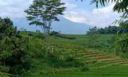 Tanah Dijual 3365m View Sawah Bukit Karangpandan Karanganyar