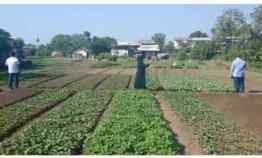 Tanah Dijual di Jl. mangga ubi Kel. kapuk kecamatan cengkareng 500 dari jl. raya daan mogot