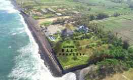 Beachfront Tanah Pinggir Pantai Purnama Bali