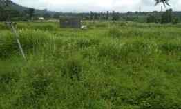 Jual Tanah 3 Hektar di Jalan Raya Cipanas Pinggir Jalan Nasional