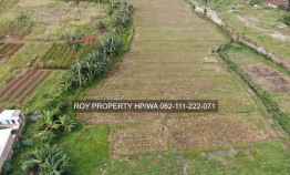 Dijual Tanah Bandar Lampung 5.9 Ha Rajabasa Dpn Indogrosir