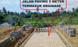 Tanah 2 are di Sambangan Sukasada Buleleng Bali