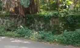 Tanah Murah Pingir Jalan di Beber Cirebon