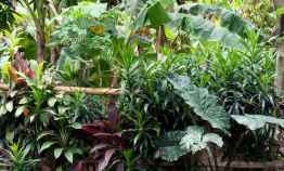 Tanah di Lenteng Agung Jakarta Selatan