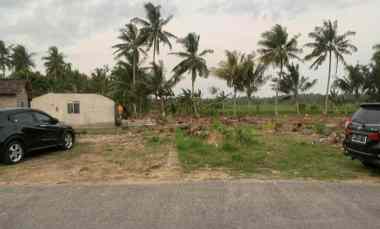 Tanah Jogja Dijual dekat Uad Wates Akses Papasan