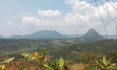 Tanah Jonggol - Akses Bogor Puncak 2