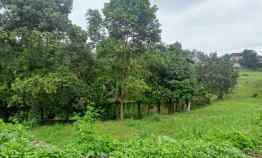 Tanah Jual Serpong Tangerang Selatan