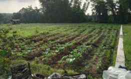 Tanah Dijual di Kajang Mojorejo Batu