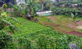 Tanah Komersial di Sayap Jalan Cihanjuang Bandung