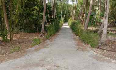 Tanah Kapling Murah di Kulon Progo