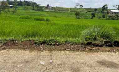 Tanah Dijual di Karangpandan, Karanganyar, Solo, Jawa Tengah